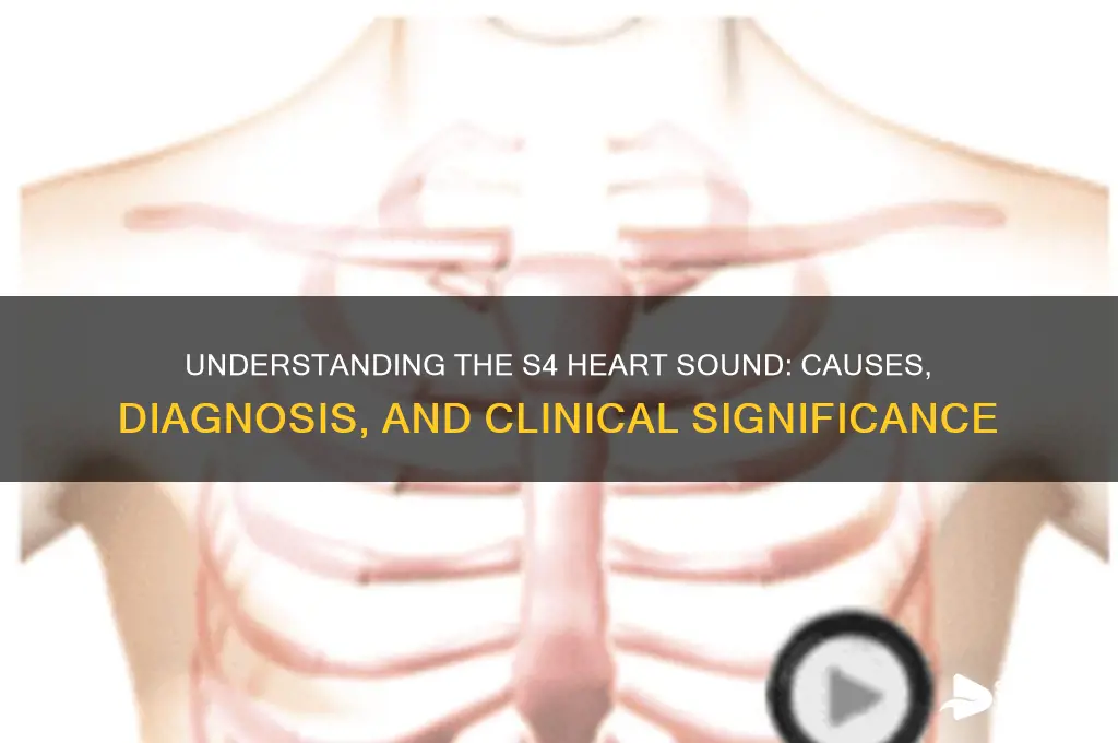 what is the s4 sound