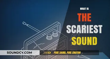 The Terrifying Truth: Unveiling the Scariest Sounds Known to Humanity