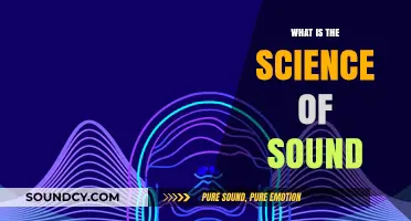 Sound Science: Unlocking the Secrets of Audio