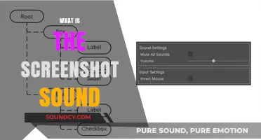 The Mysterious Screenshot Sound: Origins, Purpose, and How to Mute It