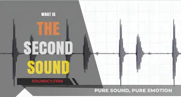 Unveiling the Mystery: Understanding the Second Heart Sound Explained