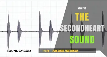 Understanding the Second Heart Sound: A Comprehensive Guide to Its Significance