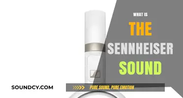 Exploring the Signature Sennheiser Sound: Quality, Clarity, and Innovation