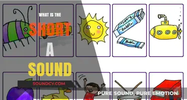 Exploring the Short 'A' Sound: Rules and Examples