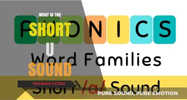 Mastering the Short U Sound