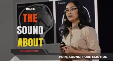 Unraveling the Mystery: What Is the Sound About?