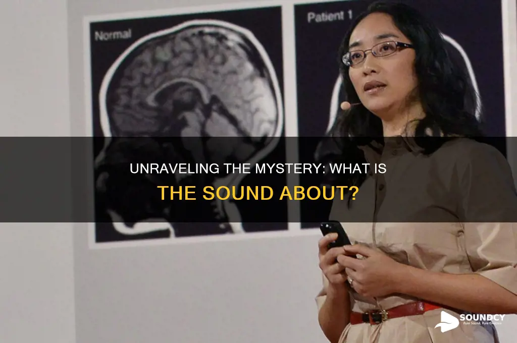 what is the sound about