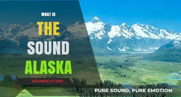 Exploring Alaska's Unique Soundscape: Nature's Symphony in the Last Frontier