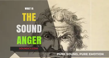 Unraveling the Sound of Anger: Its Origins, Impact, and Expression