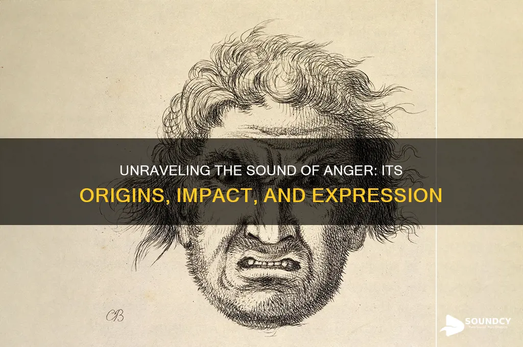 what is the sound anger