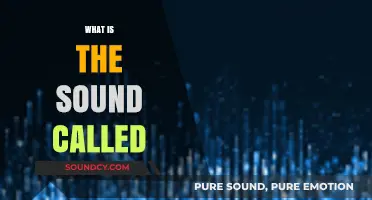 Unraveling the Mystery: What is the Sound Called and Why?