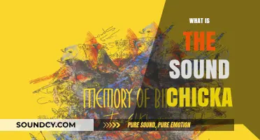 Unraveling the Mystery: What is the Sound Chicka?