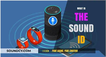 Understanding Sound ID: A Comprehensive Guide to Audio Identification Technology
