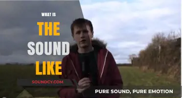 Exploring the Intriguing World of Sounds: What Does It Sound Like?