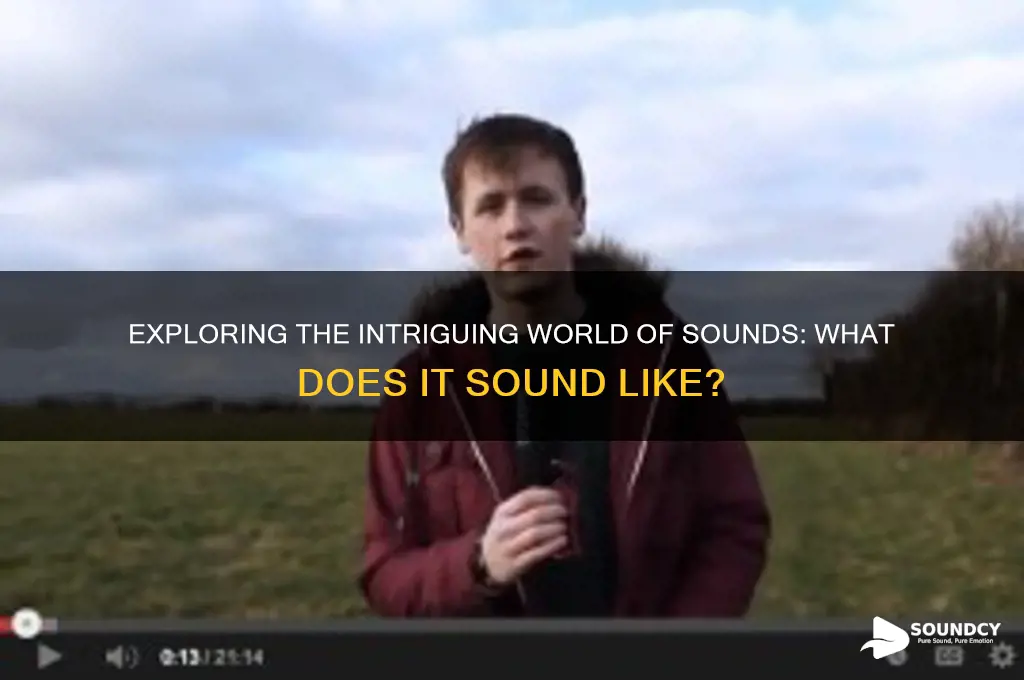 what is the sound like