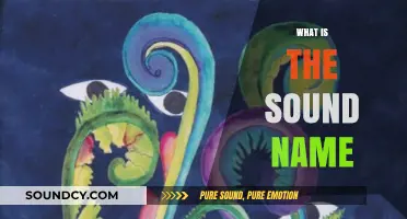Unveiling the Mystery: Understanding the Name of That Unique Sound