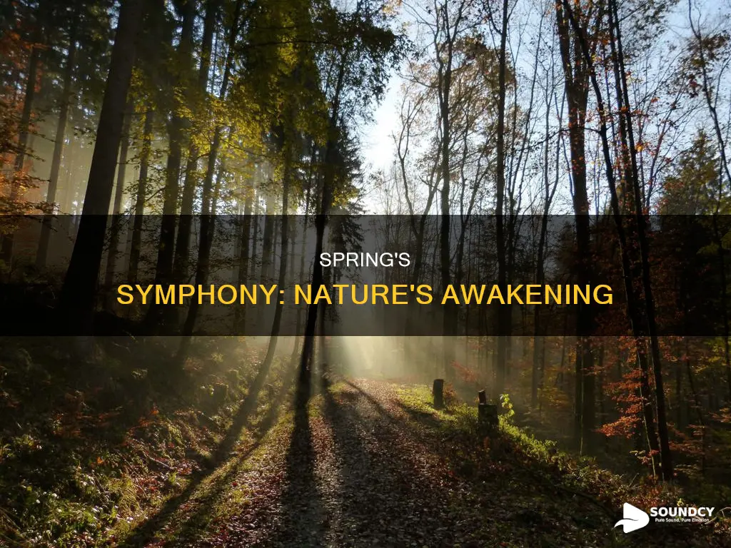 what is the sound of spring