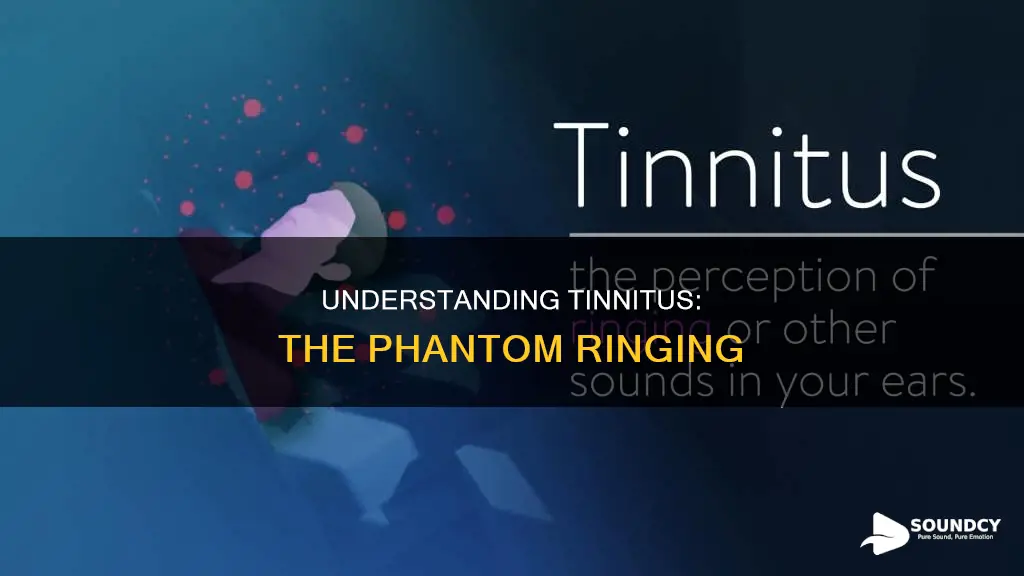 what is the sound of tinnitus