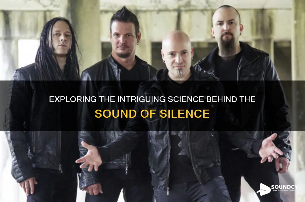 what is the sound of