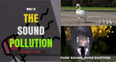 Understanding Sound Pollution: Causes, Effects, and Solutions Explained