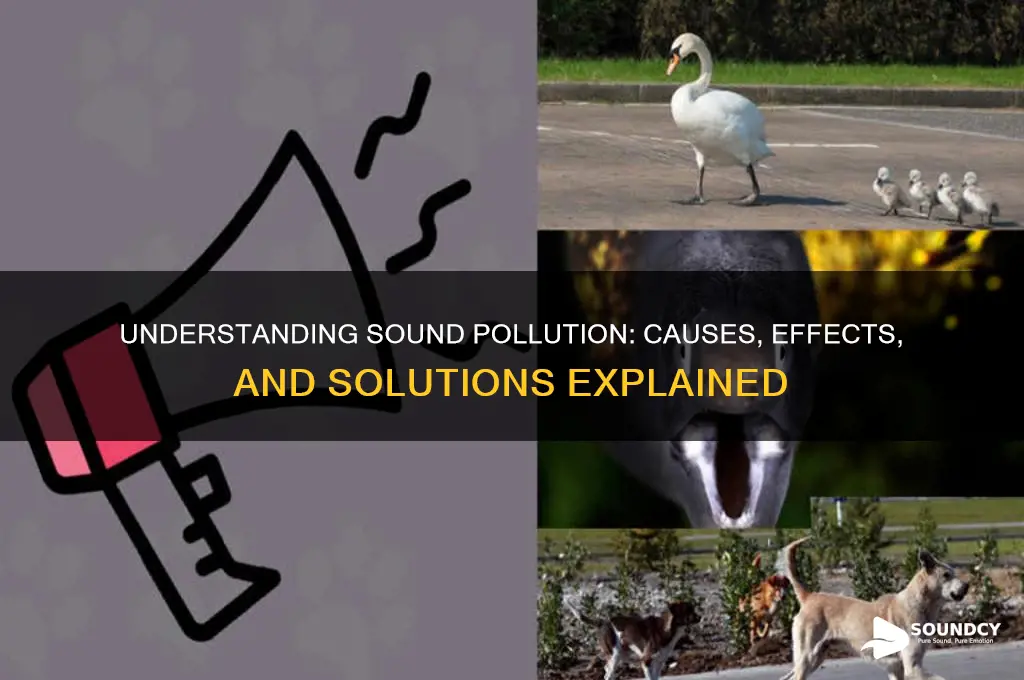 what is the sound pollution