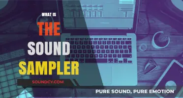 Exploring Sound Samplers: A Beginner's Guide to Creative Audio Sampling
