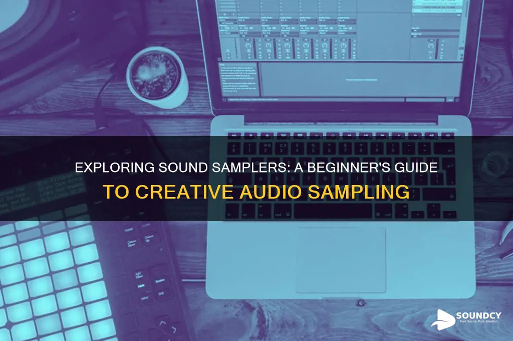 what is the sound sampler