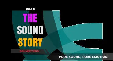 Unveiling the Sound Story: A Journey Through Audio Narratives