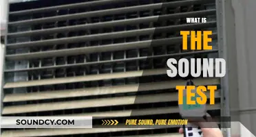 Understanding the Sound Test: Purpose, Procedure, and Importance Explained