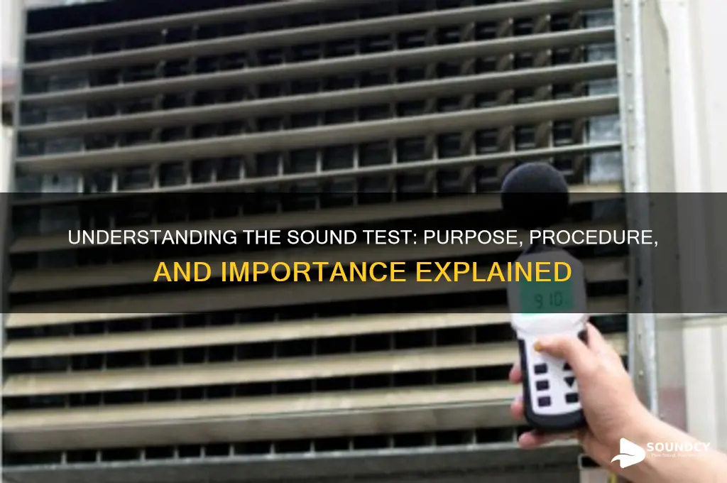 what is the sound test