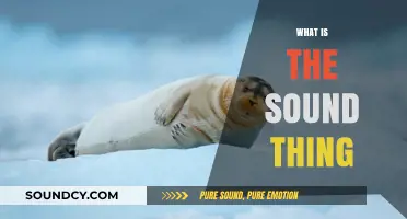 Exploring the Mystery of the Sound Thing: What It Is and How It Works