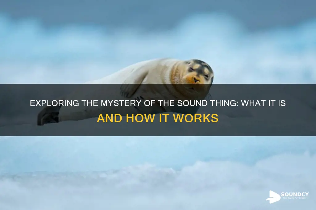what is the sound thing