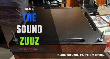 Unveiling the Mystery: What is the Sound Zuuz and Its Origins?