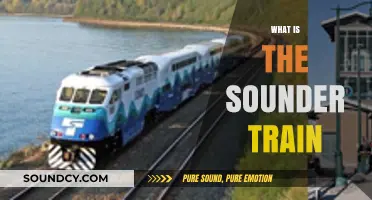 Exploring the Sounder Train: Seattle's Commuter Rail Service Explained