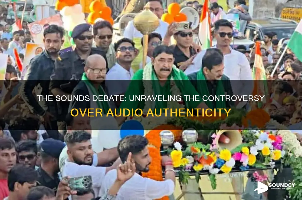 what is the sounds debate