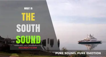 Exploring the South Sound: A Guide to Washington's Hidden Gem