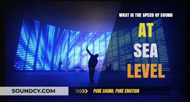 Understanding the Speed of Sound at Sea Level: Facts and Figures