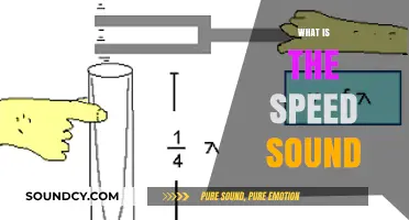 Exploring the Speed of Sound: How Fast Does It Travel?