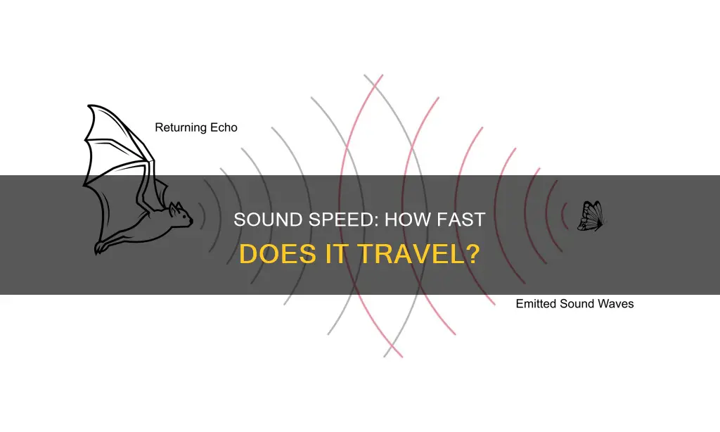 what is the spped of sound