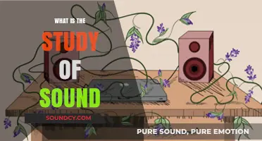 Sound Study: Understanding the Science of Acoustics