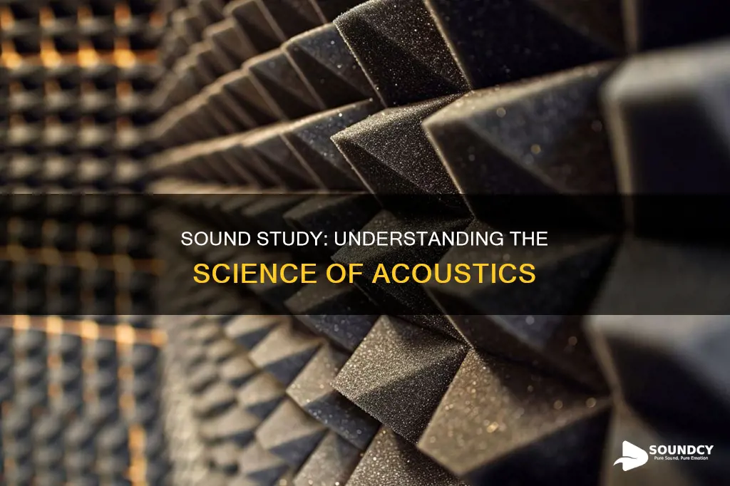 what is the study of sound