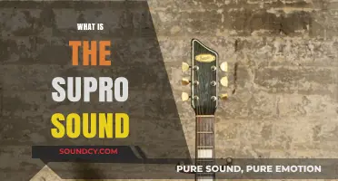 Unveiling the Supro Sound: A Unique Tone Legacy Explored