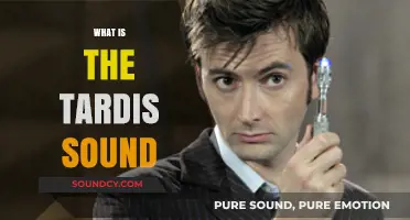 Unraveling the Iconic TARDIS Sound: A Journey Through Time and Space