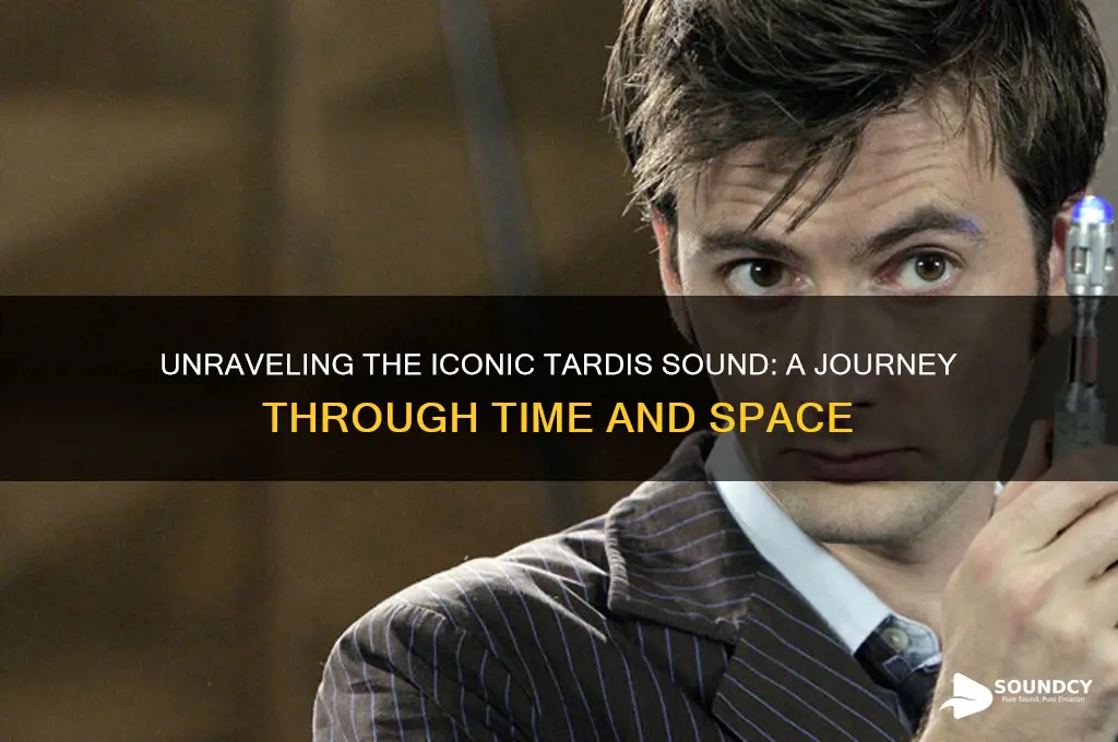 what is the tardis sound