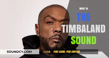 Unveiling the Signature Groove: Understanding the Timbaland Sound