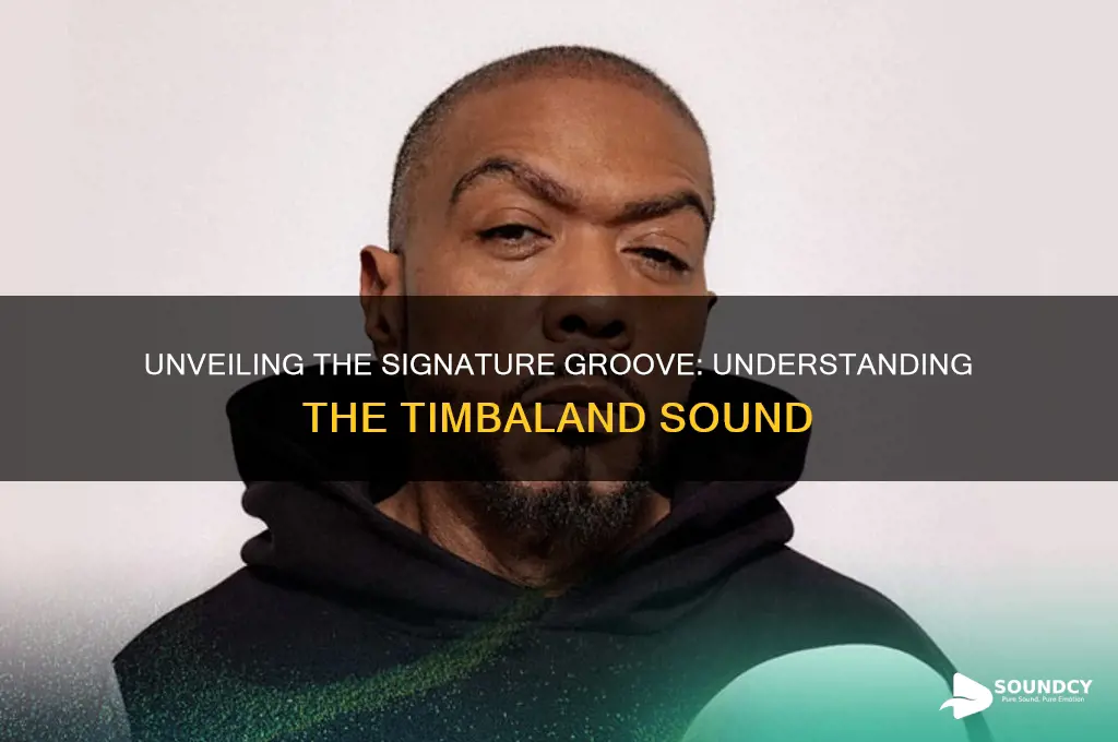 what is the timbaland sound