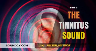 Understanding Tinnitus: Decoding the Persistent Ringing in Your Ears