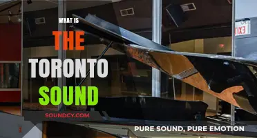 Exploring Toronto's Unique Musical Identity: What Defines the Toronto Sound?