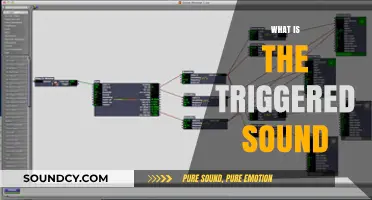 Understanding the Triggered Sound: Causes, Effects, and Real-World Examples