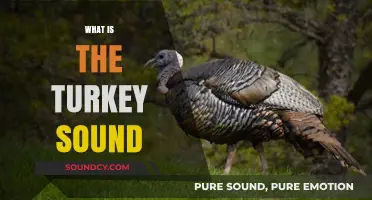 Understanding the Unique Gobble: What is the Turkey Sound?
